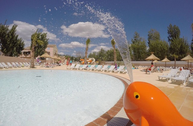 HOLIDAYS IN THE MIDI SUN