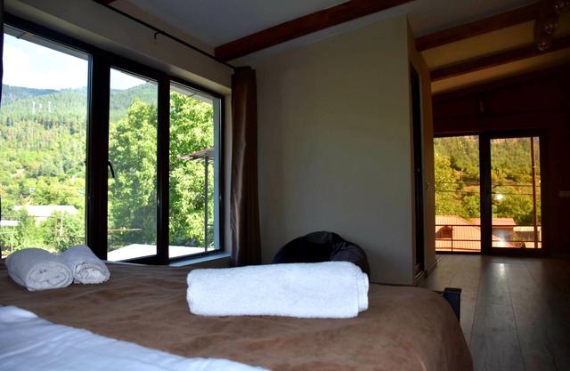 holliday home borjomi