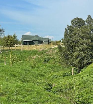 Holly Tree Glamping Cabins