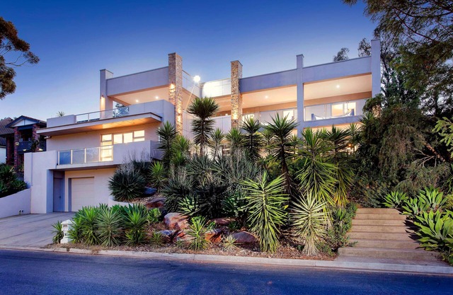 Hollywood Tree House