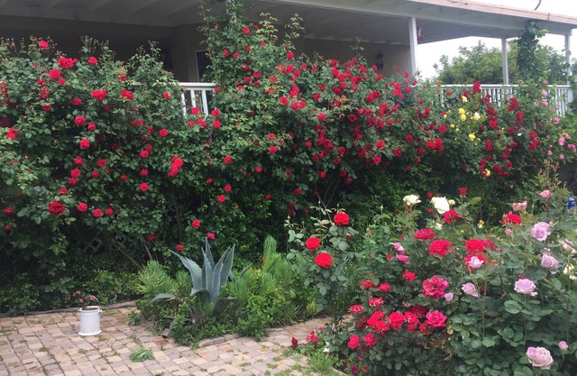 Home away from Home .CANYON LAKE.CA.resort city, long term Family & Pet friendly