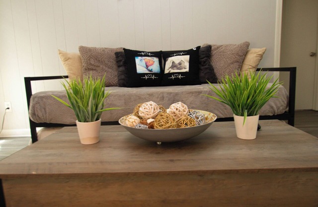 Home Sweet Home in Burns Park #2