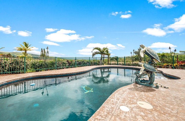 Discovery Harbour - 3/2 - Piscine