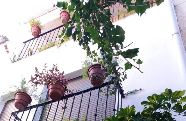 Homerez - Grande maison pour 12 pers. avec balcon à Quesada
