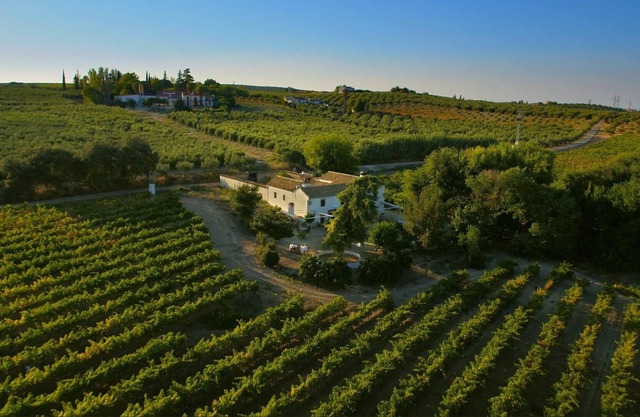 Homerez - Big villa for 16 ppl. with swimming-pool at Montilla