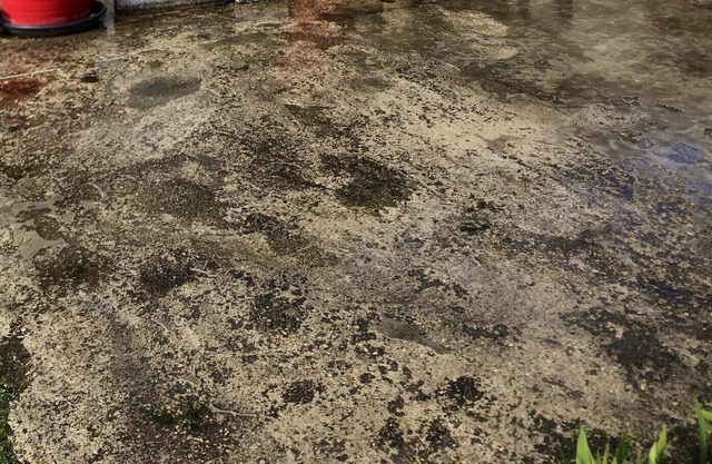 Homerez - Maison pour 6 pers. avec jardin et terrasse à Bergères-lès-Vertus