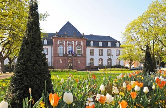 Homerez - Nice apartement for 2 ppl. with terrace at Haguenau