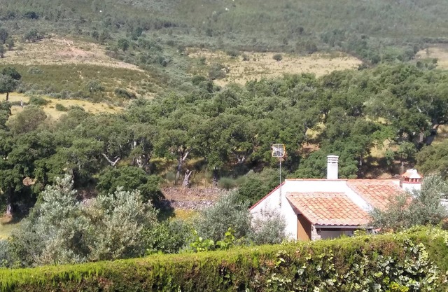 Homerez - Studio à Valencia de Alcántara