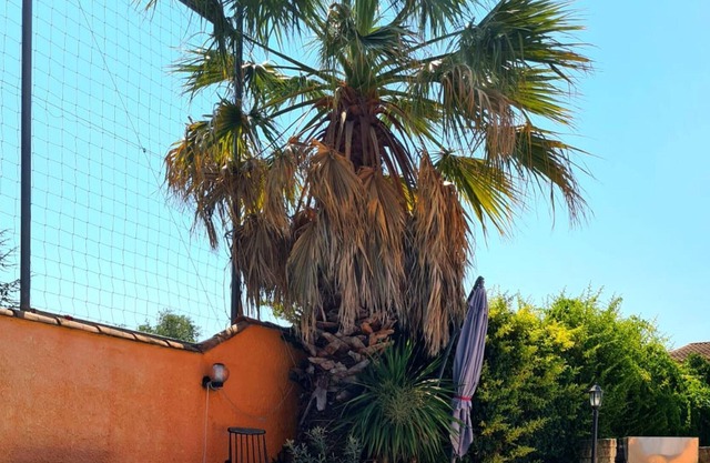 Homerez - Villa pour 6 pers. avec piscine, jardin et terrasse à Marguerittes