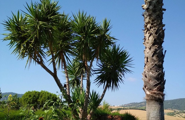 Homerez - Villa in Prado del Rey