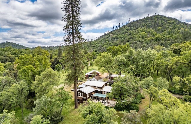 Homestead Ranch near Yosemite w/Horses & Chickens