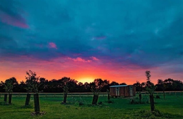 Honeysuckle Farm Hut 2 - Suffolk Farm Holidays
