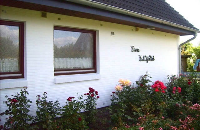 Hooge dans la maison Halligblick