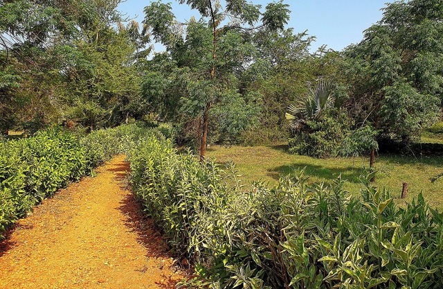 Hornbill Bush Lodge