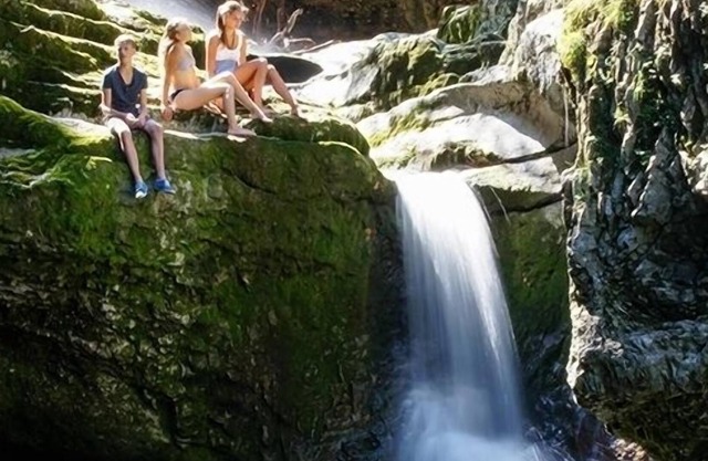 Chevaux, lac de baignade, Mozart, automne doré, proche de la ville, centre, 5 personnes, montagnes, Salzbourg