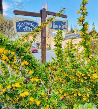 Hospedaje Flores del Sur