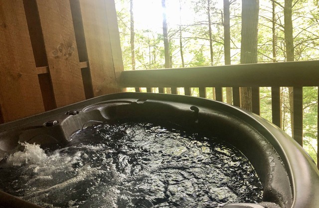 Studio Cabine dans le complexe Timberwinds, piscine communautaire, bain à remous privé, confortable et confortable, Bearadise