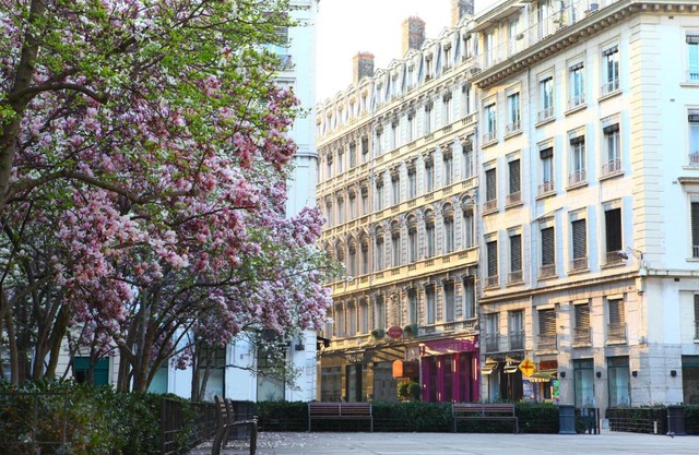 Hotel des Celestins