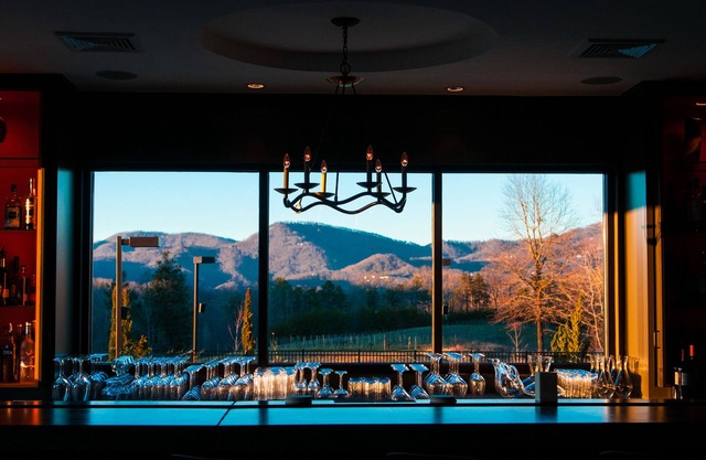 Hotel Domestique