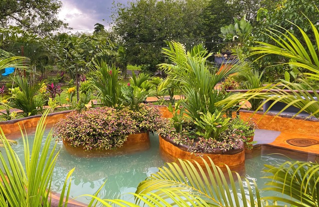 Hotel Heliconias Nature Inn & Hot Springs