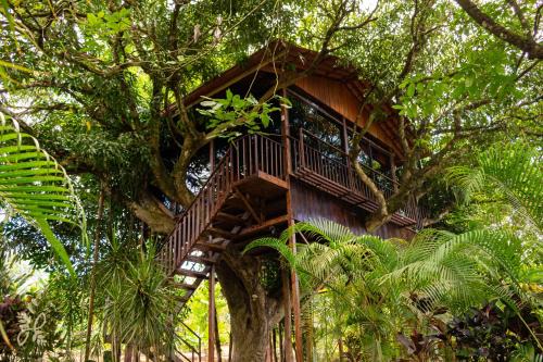 Hotel Heliconias Nature Inn & Hot Springs