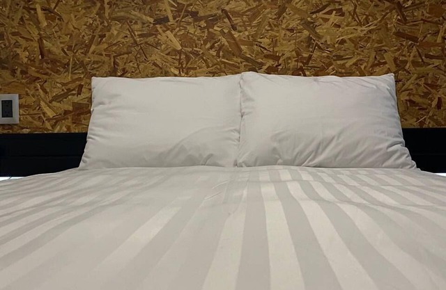 Hotel Central Pirámides