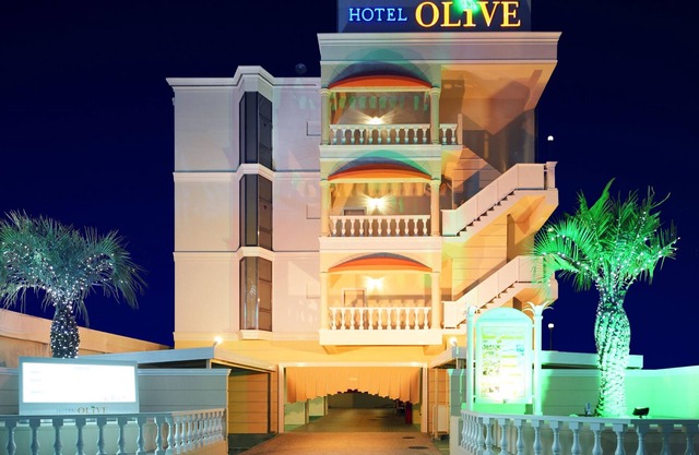 Hotel Olive Sakai