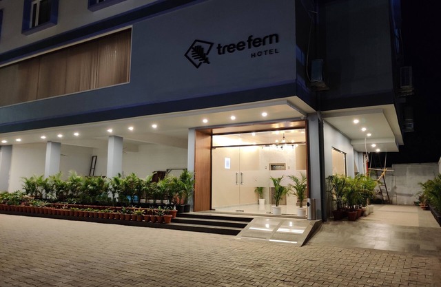 Hotel Tree Fern