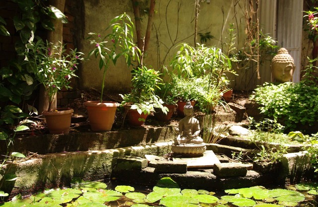 Hotel Zen
