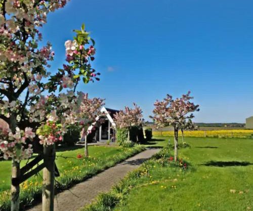 Hotelhuisje Warmenhuizen #D