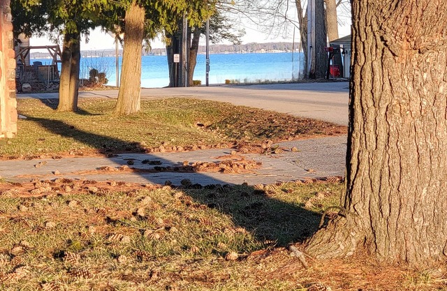 Lakeview w/ Road Access, ATV/ UTV Trails, Firepit, Fishing, Kayak, Recliner