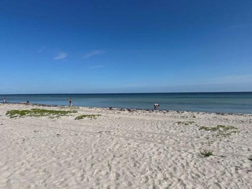 House direct to beach