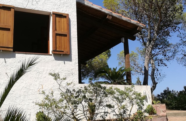 Maison immergée dans la pinède