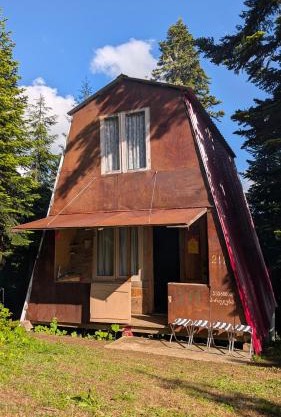 House in forest