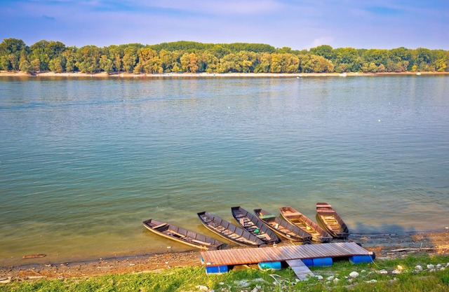 Pool&Sauna House Apati on Danube, Opatovac, Croatia