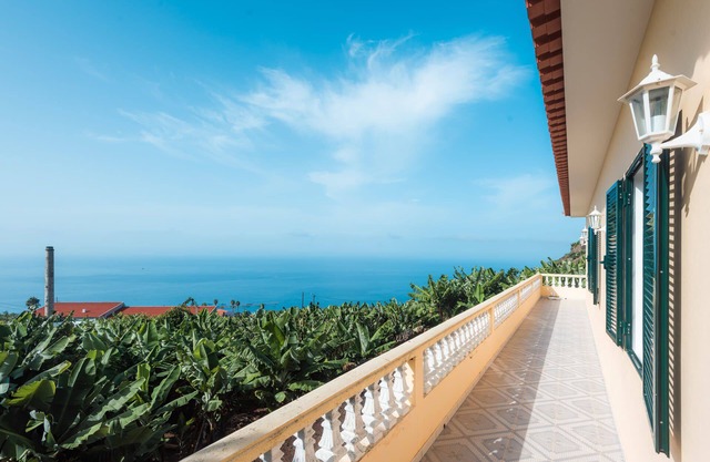 Maison / villa - Arco da Calheta