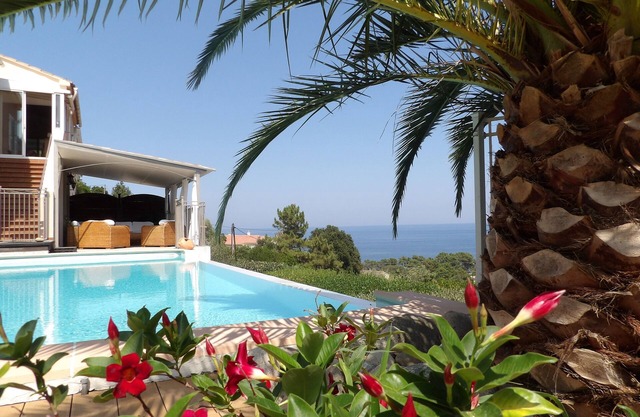 Villa de Standing avec piscine à débordement, vue sur mer et maquis