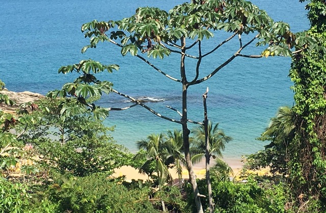 Maison avec 2 suites avec vue magnifique sur la mer à 80 mètres. de la plage de Curral.