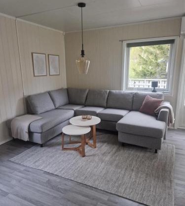 House with terrace and a big garden in centrum of Lyngseidet