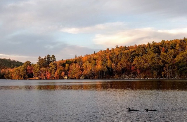 Howard Pond - Family-Friendly Et Pet-Friendly Quiet Home