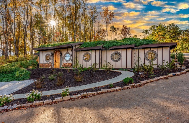 Howards Hollow! Earth Home at The Forgotten Forest!