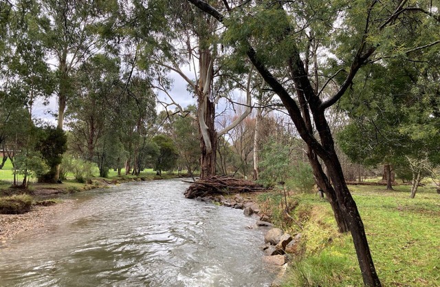 Howqua Lodge - beautiful views, Howqua River, perfect for groups