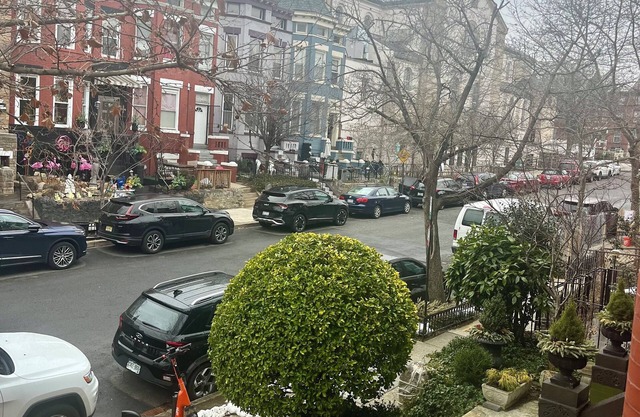 Cherry Blossoms! Huge 4-bedroom apt NW DC Walk to Metro, 1 mile to Capitol hill