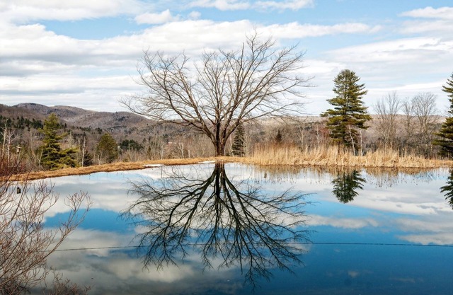 Huge Home with Private Pond - Ideal Remote Getaway for Family, Friends & More