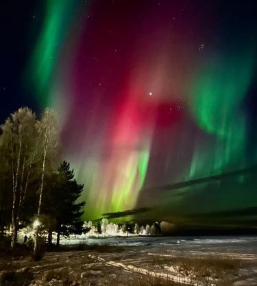 Humlehjarta Schweden Norrbotten Ferienhaus Ferienwohnung