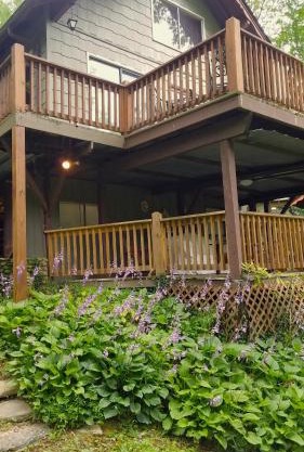 Hummingbird Hideaway - Lake Pets Hike Fish