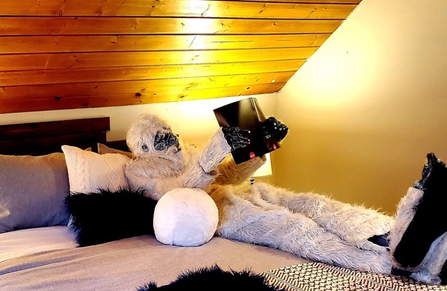 IceBerg Farms, even a Yeti can chill here!!!!