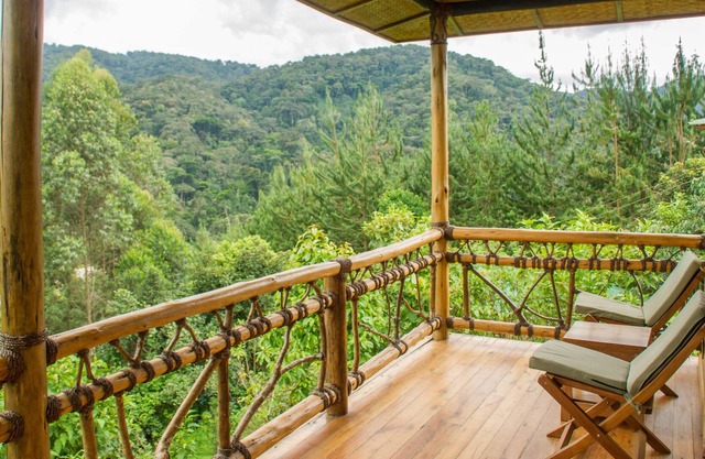 Ichumbi Gorilla Lodge