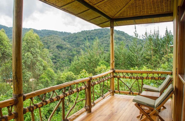 Ichumbi Gorilla Lodge