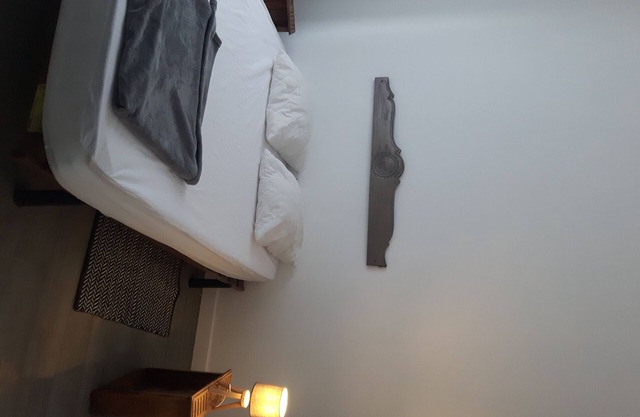 Idéal cure Appartement rez de chaussée 1 chambre